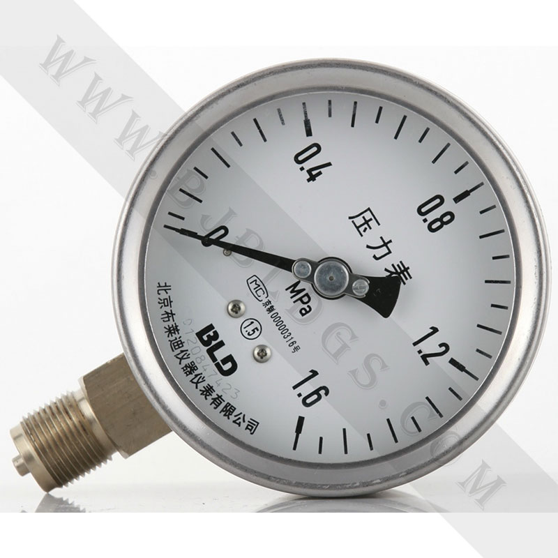 全不銹鋼壓力表YTH-100