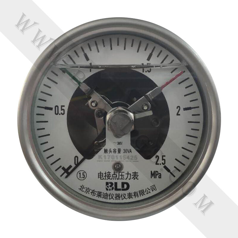 全鋼耐震磁柱堅(jiān)固型電接點(diǎn)YXHN-100軸向無邊