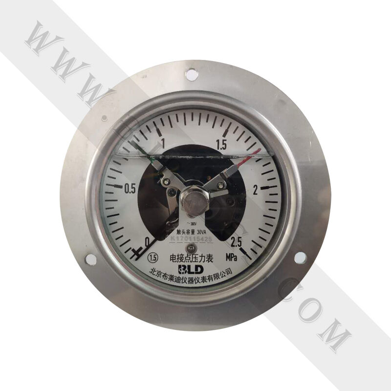 全鋼耐震磁柱堅(jiān)固型電接點(diǎn)YXHN-100軸向前邊